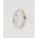 9ct Two Tone Gold Ring With 5pt Diamond